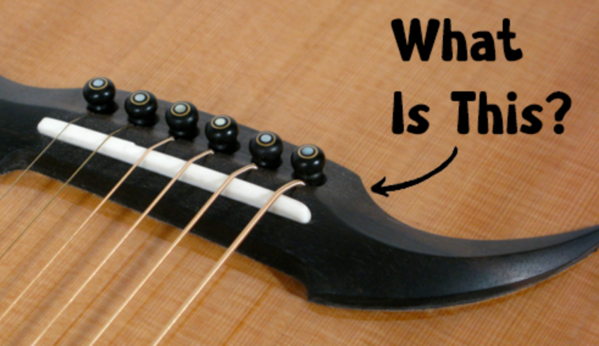 Can You Name All the Parts of a Guitar